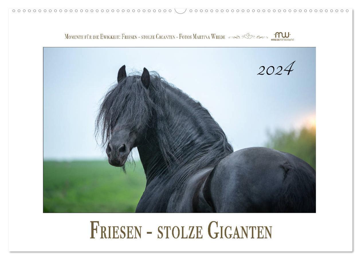 Cover: 9783383007910 | Friesen - stolze Giganten (Wandkalender 2024 DIN A2 quer), CALVENDO...