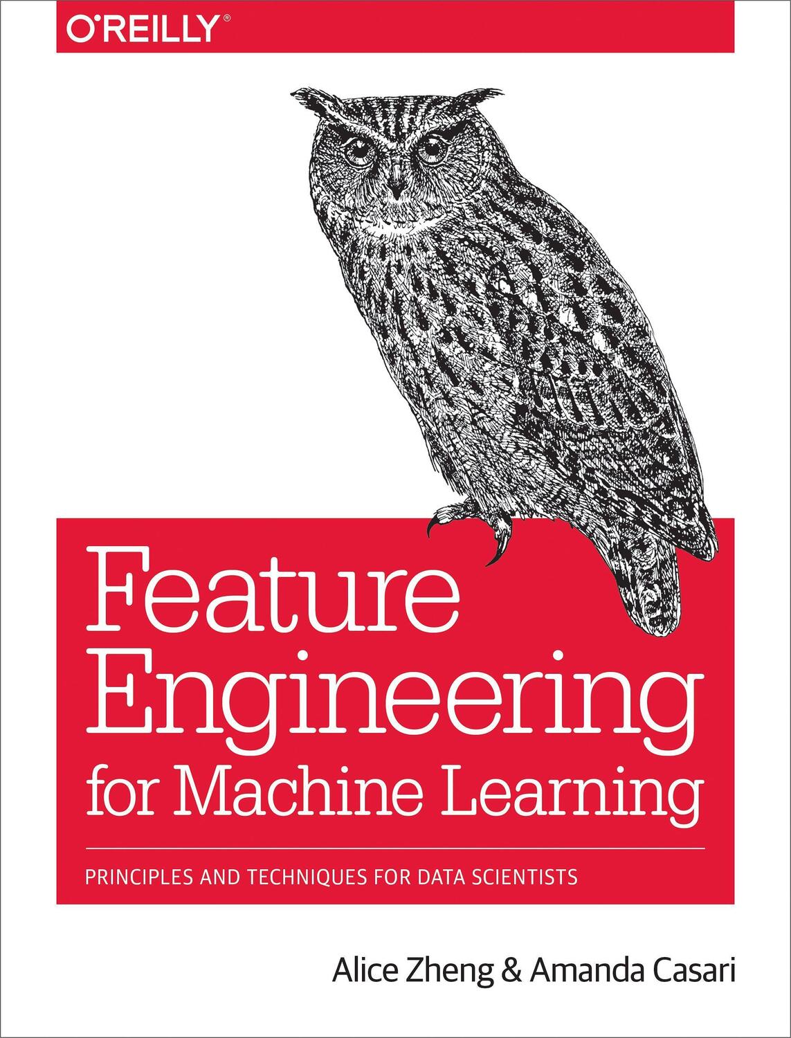 Cover: 9781491953242 | Feature Engineering for Machine Learning Models | Alice Zheng (u. a.)