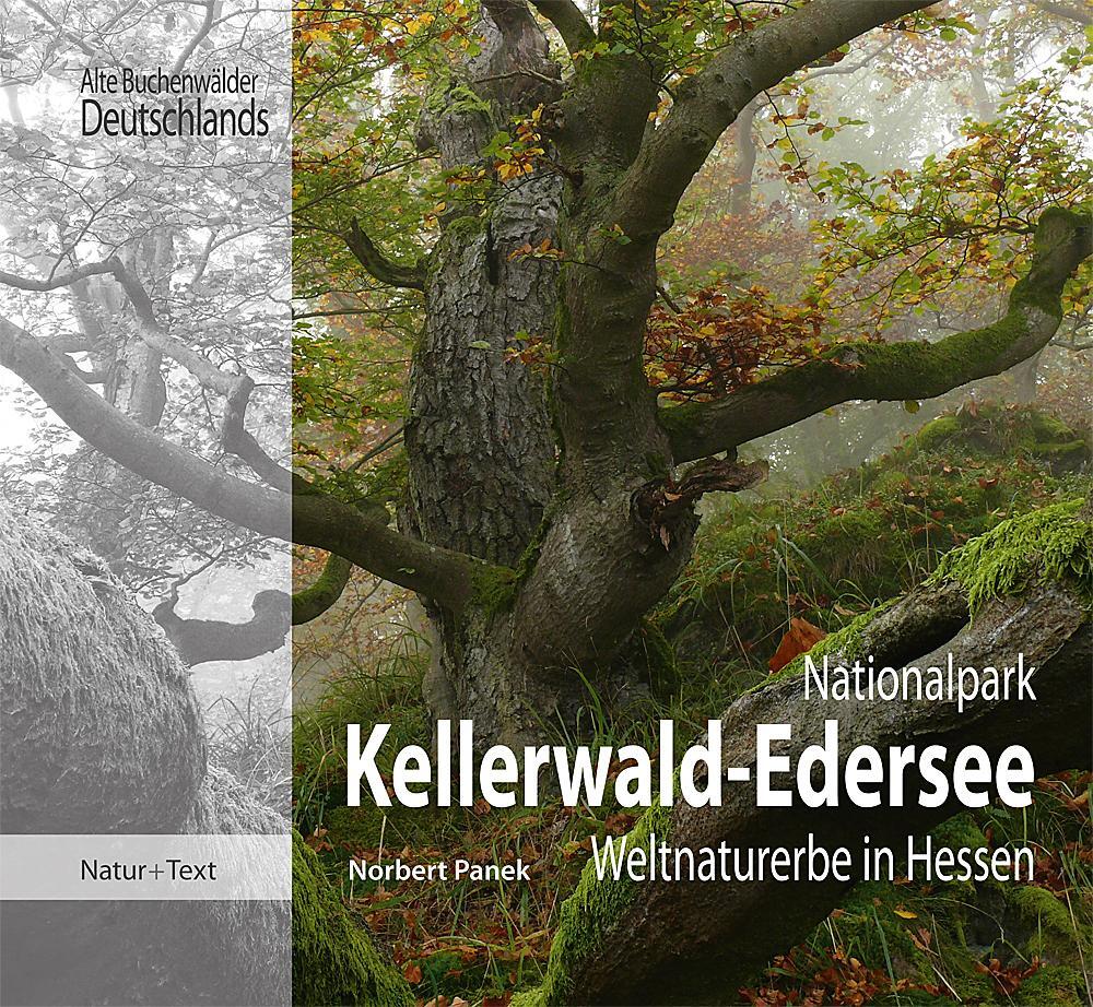 Cover: 9783942062305 | Nationalpark Kellerwald-Edersee | Weltnaturerbe in Hessen | Panek