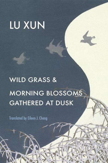 Cover: 9780674261167 | Wild Grass and Morning Blossoms Gathered at Dusk | Xun Lu | Buch
