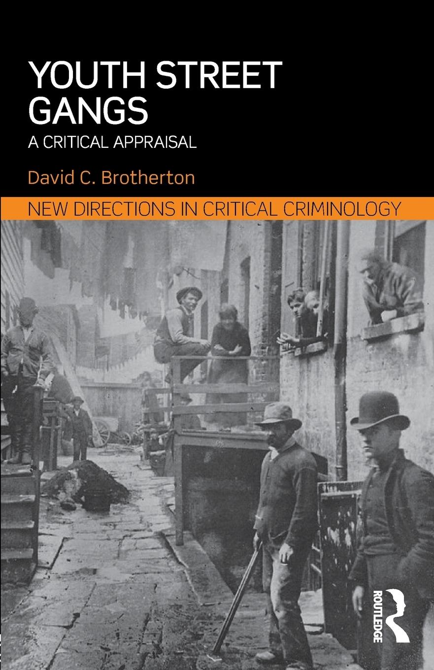 Cover: 9780415856294 | Youth Street Gangs | A critical appraisal | David C. Brotherton | Buch