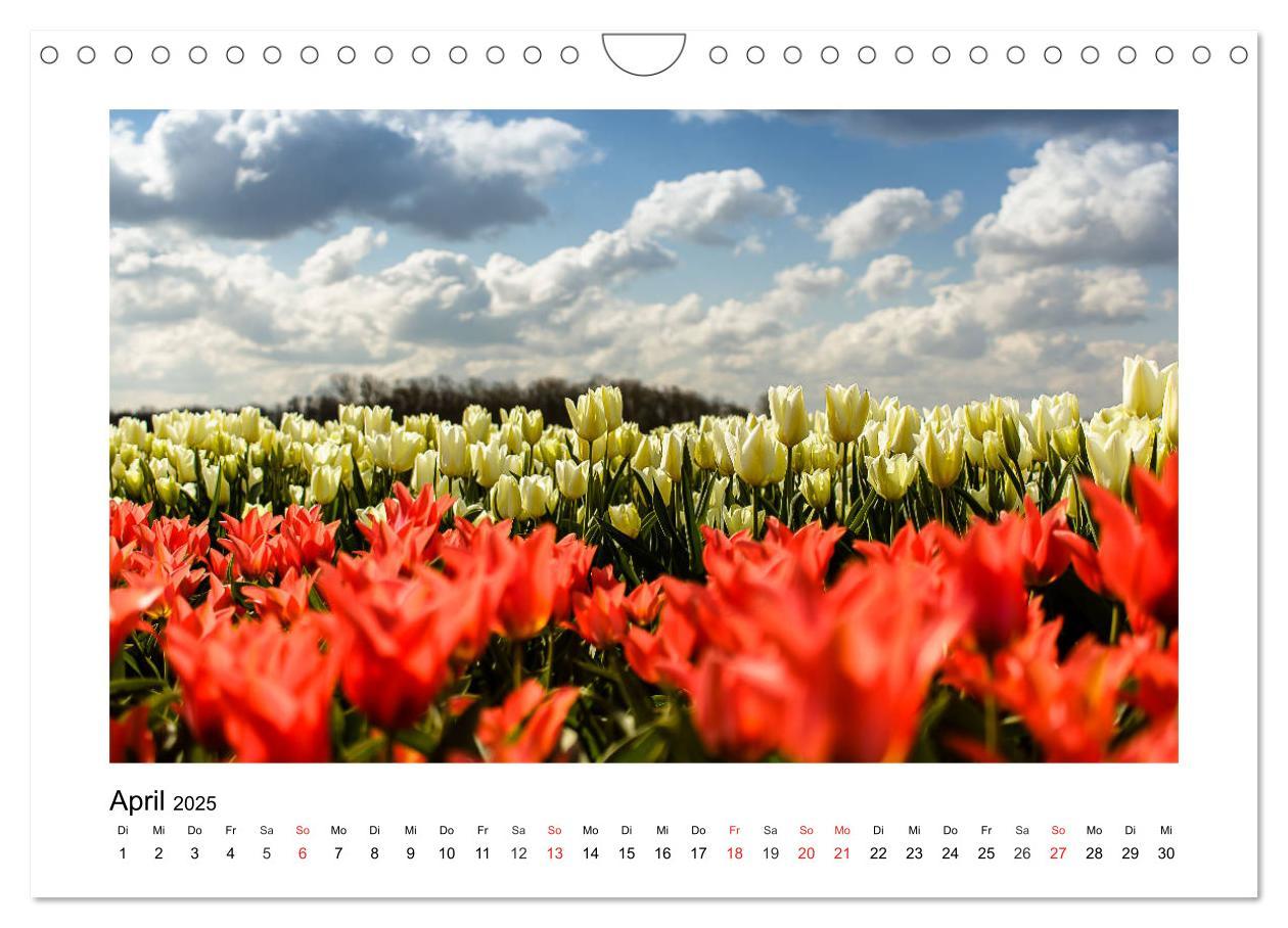 Bild: 9783435194742 | Eindrücke aus der Natur (Wandkalender 2025 DIN A4 quer), CALVENDO...