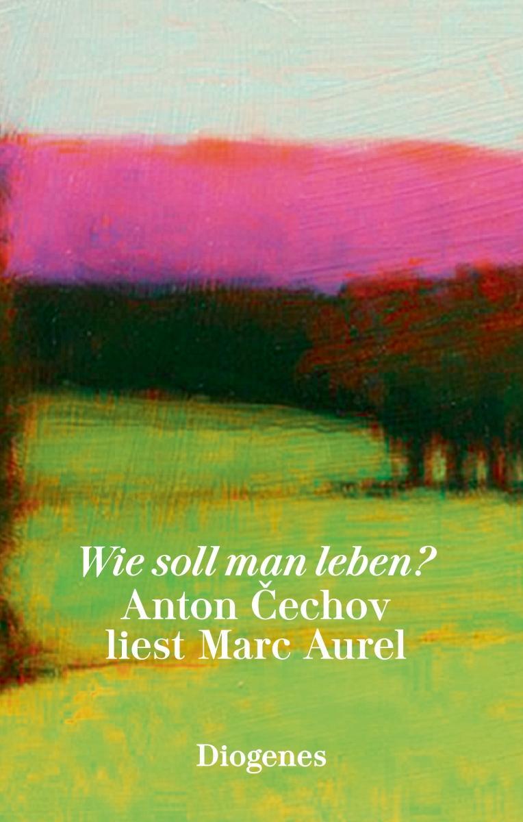 Cover: 9783257261578 | Wie soll man leben? | Anton Cechov liest Marc Aurel | Cechov (u. a.)
