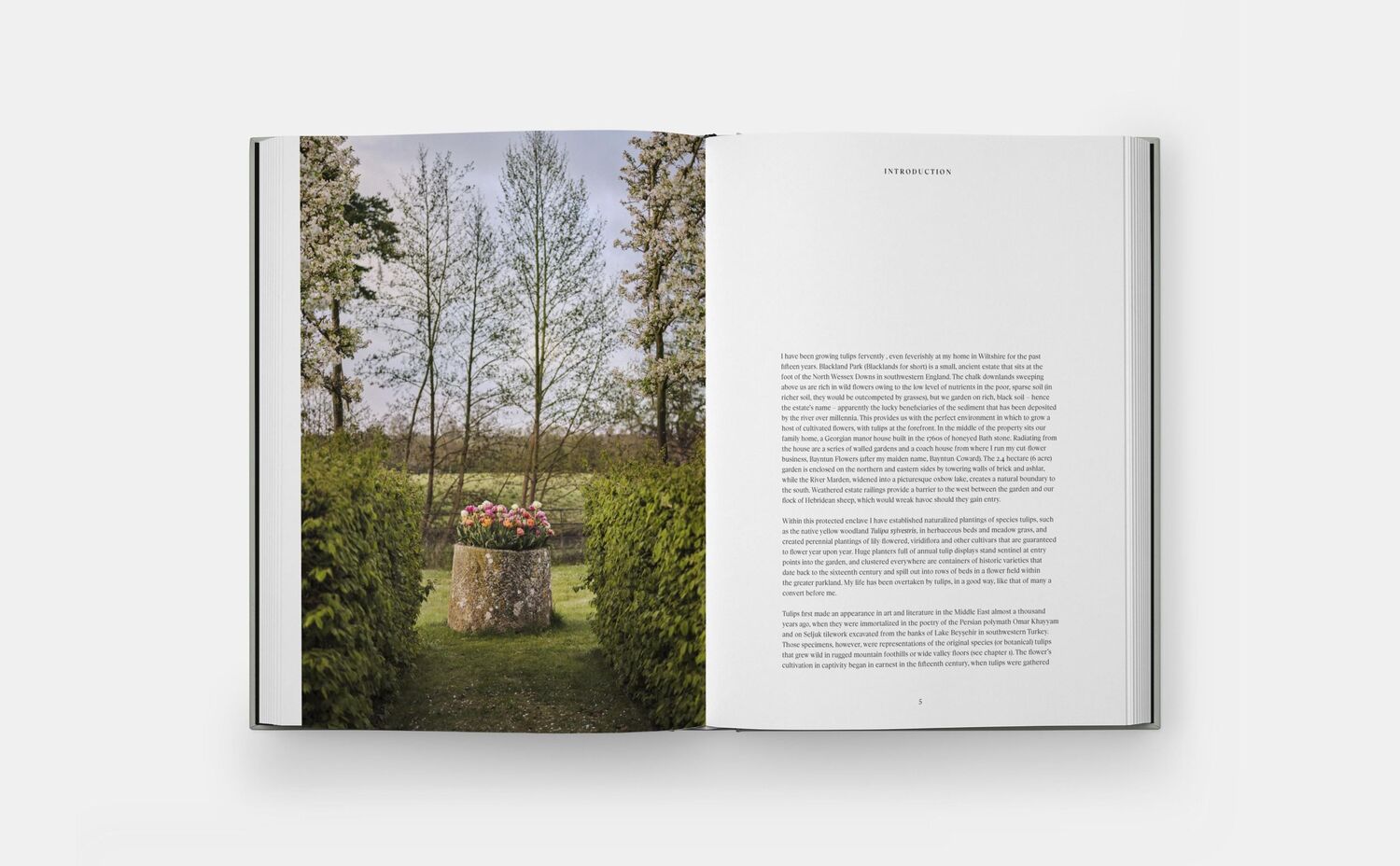 Bild: 9781838667689 | The Tulip Garden | Polly Nicholson (u. a.) | Buch | Phaidon Press