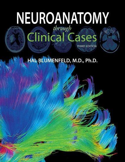 Cover: 9781605359625 | Neuroanatomy through Clinical Cases | Hal Blumenfeld | Taschenbuch