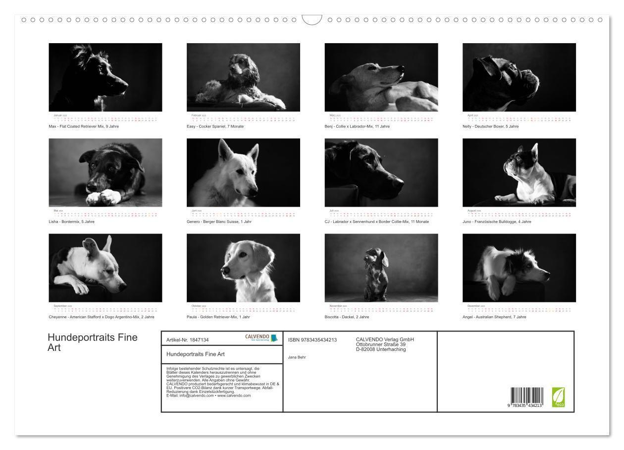 Bild: 9783435434213 | Hundeportraits Fine Art (Wandkalender 2025 DIN A2 quer), CALVENDO...