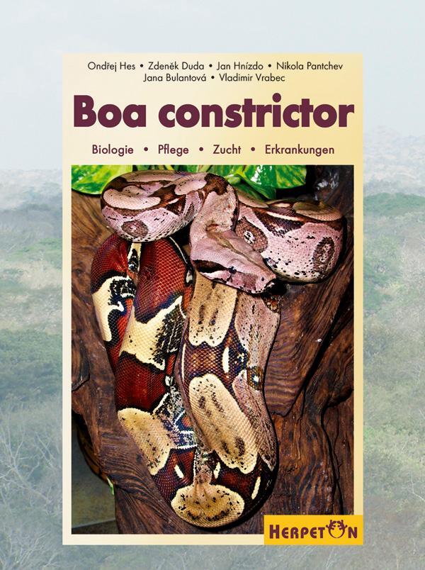 Boa constrictor - Hes, Ondrej