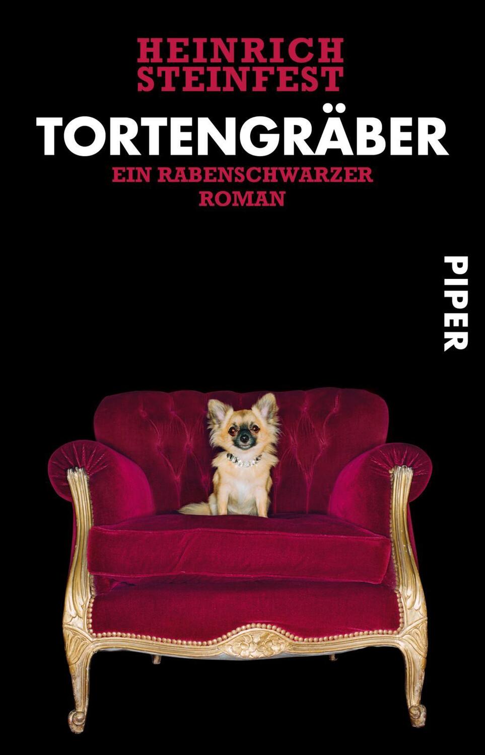 Cover: 9783492248945 | Tortengräber | Ein rabenschwarzer Roman | Heinrich Steinfest | Buch