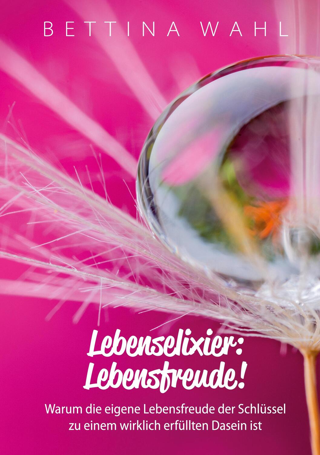 Cover: 9783753438405 | Lebenselixier: Lebensfreude! | Bettina Wahl | Buch | 156 S. | Deutsch