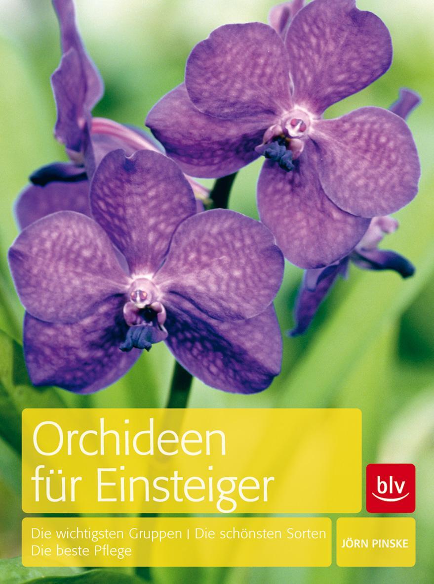 Cover: 9783835408388 | Orchideen für Einsteiger | Jörn Pinske | Buch | 144 S. | Deutsch | BLV