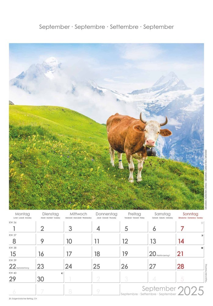 Bild: 4251732341091 | Alpen 2025 - Bild-Kalender 23,7x34 cm - The Alps - Wandkalender -...