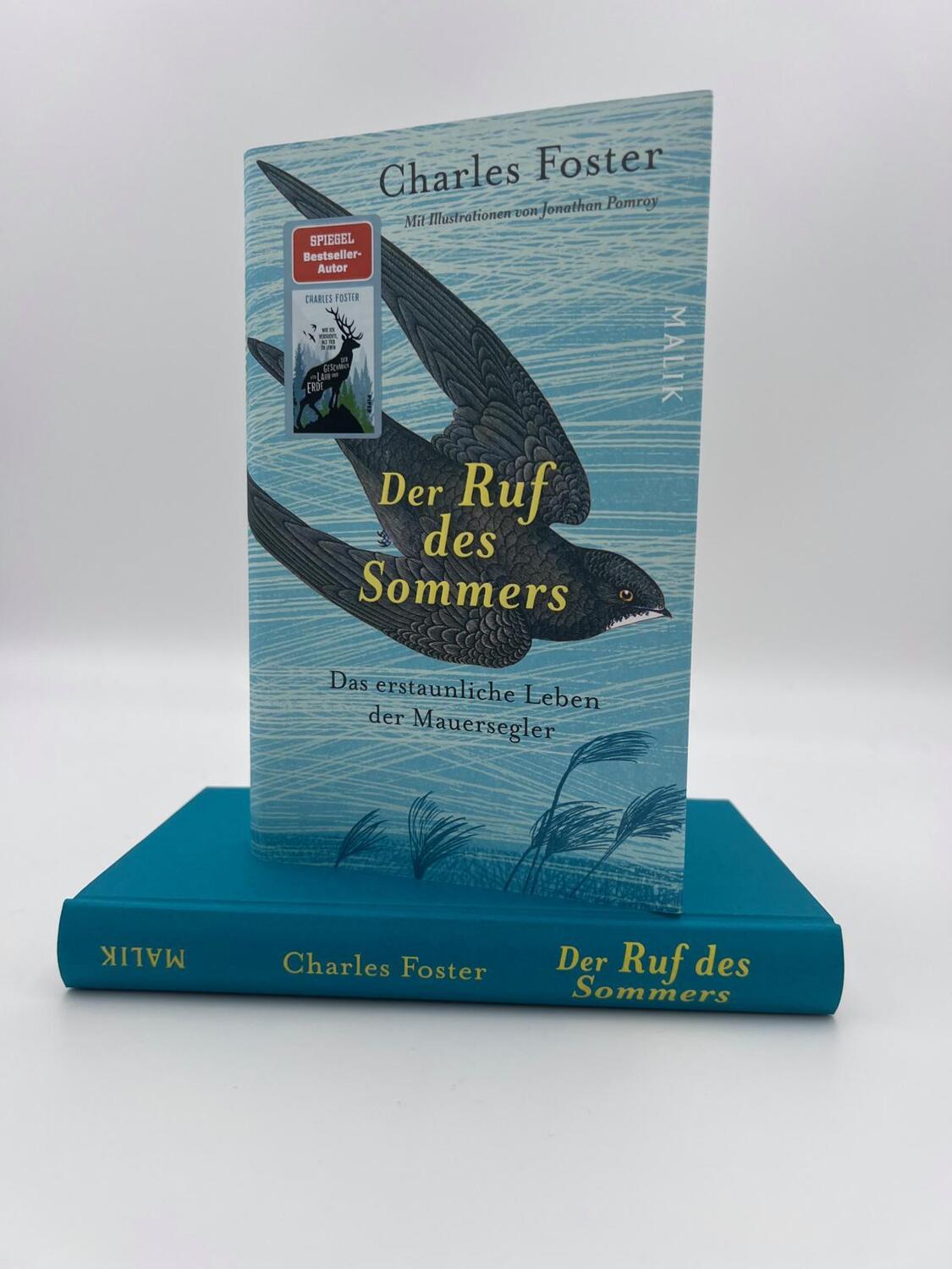 Bild: 9783890295763 | Der Ruf des Sommers | Charles Foster | Buch | 224 S. | Deutsch | 2023