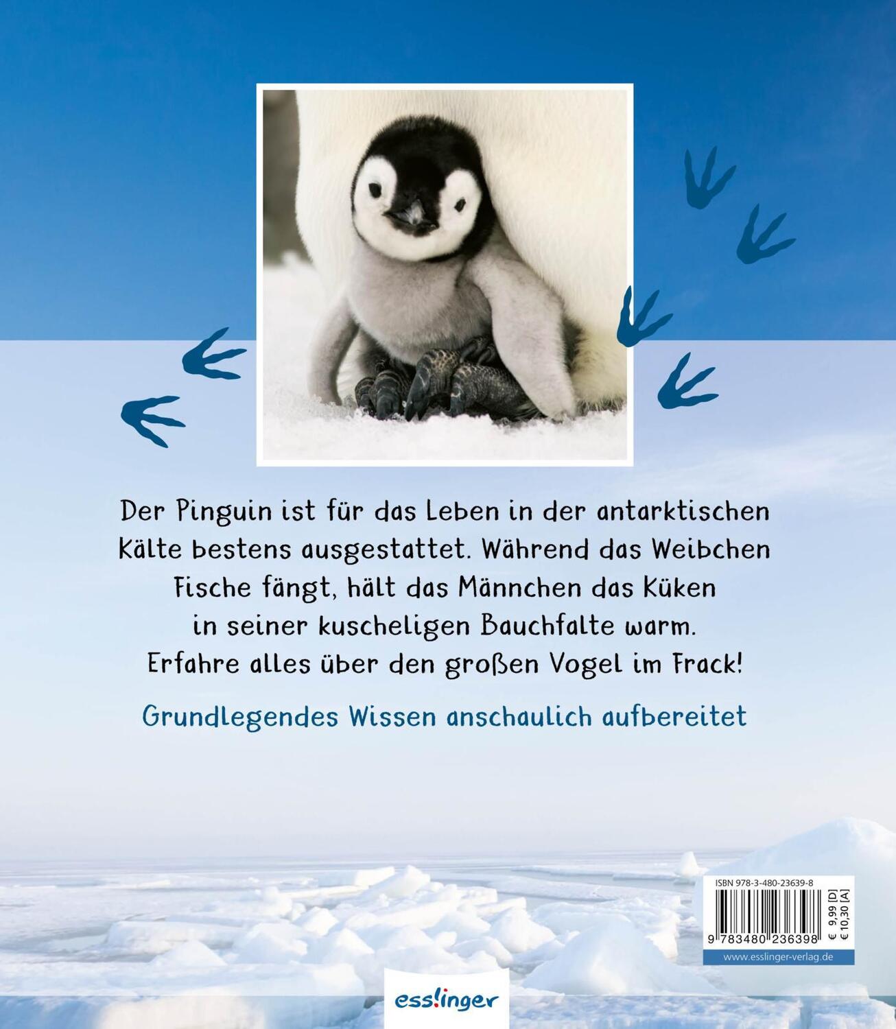 Rückseite: 9783480236398 | Meine große Tierbibliothek: Der Pinguin | Jens Poschadel | Buch | 2020