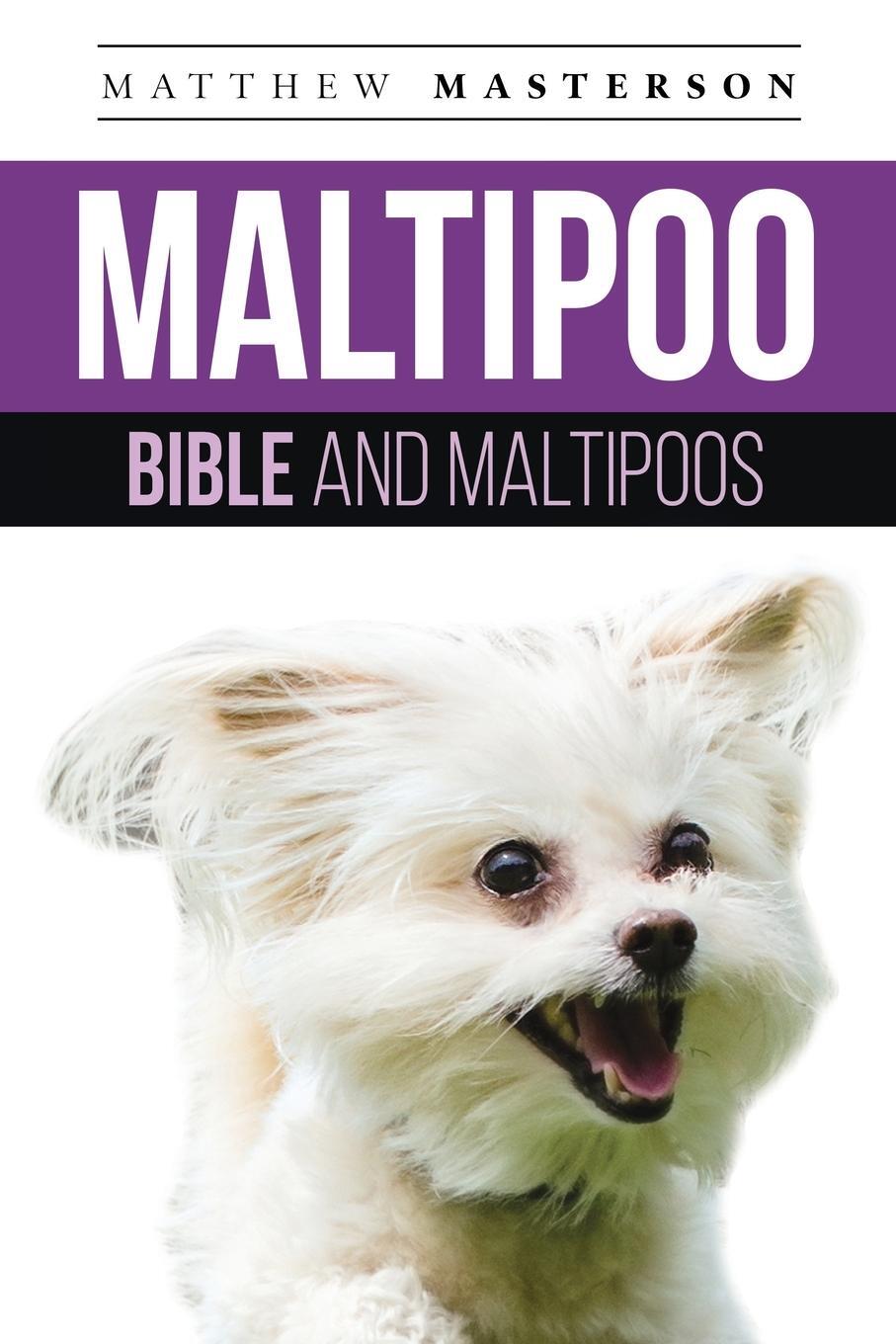 Cover: 9781913154240 | Maltipoo Bible And Maltipoos | Matthew Masterson | Taschenbuch | 2020