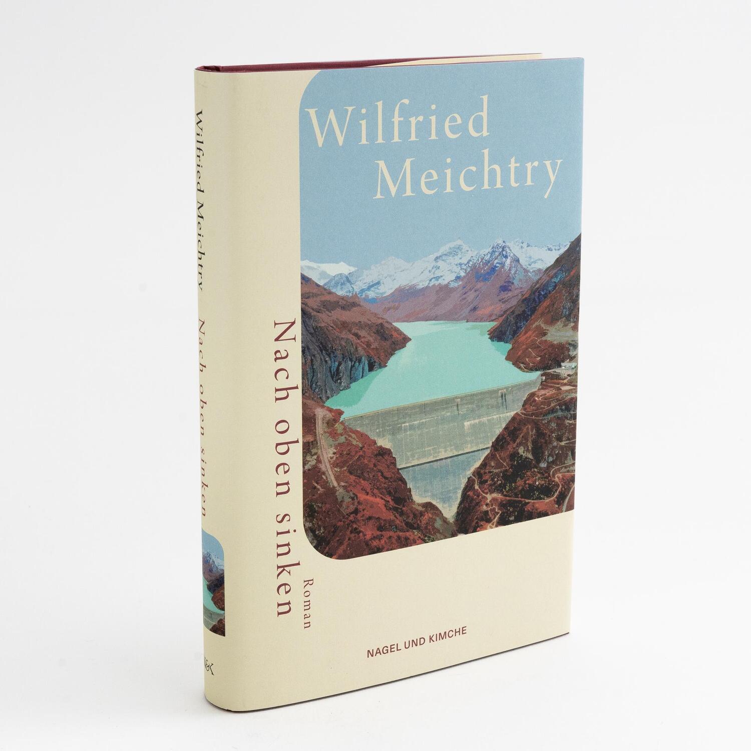 Bild: 9783312012855 | Nach oben sinken | Wilfried Meichtry | Buch | 256 S. | Deutsch | 2023