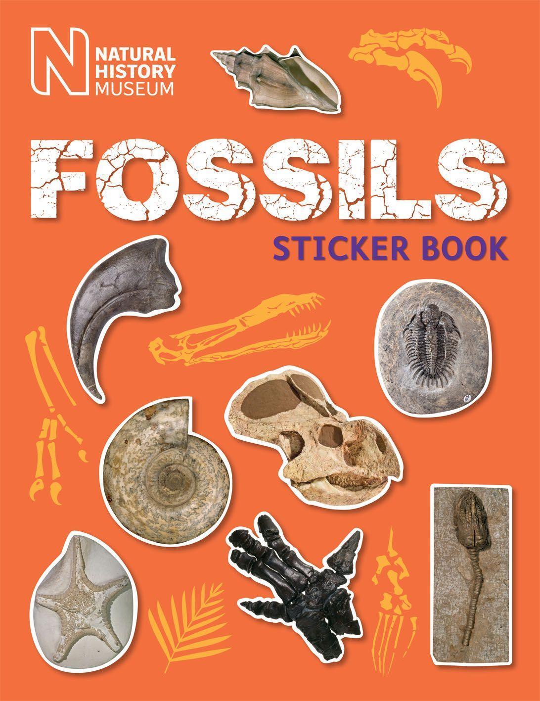 Cover: 9780565093525 | Fossils Sticker Book | Natural History Museum | Taschenbuch | Englisch