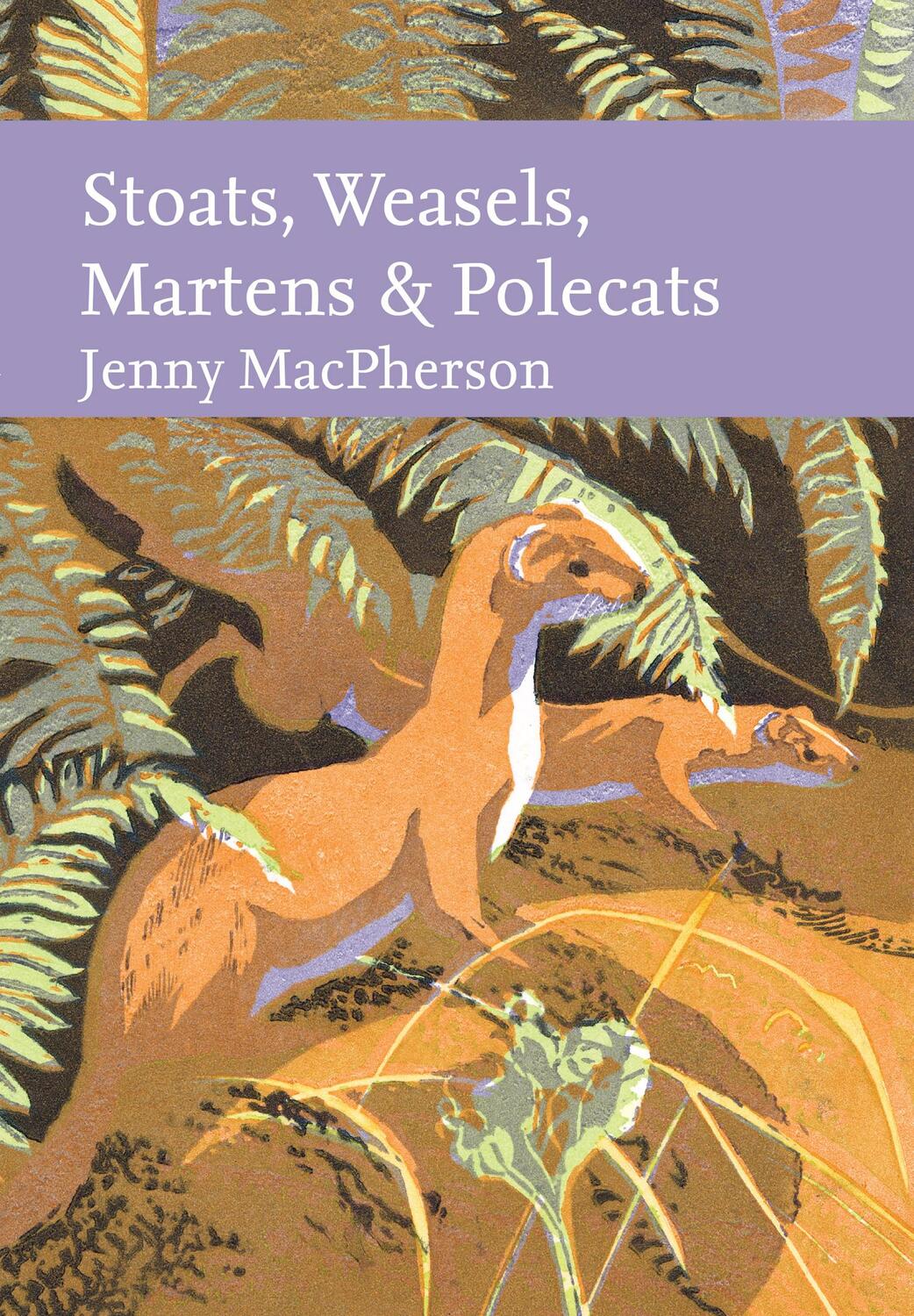 Cover: 9780008334932 | Stoats, Weasels, Martens and Polecats | Jenny MacPherson | Buch | 2024