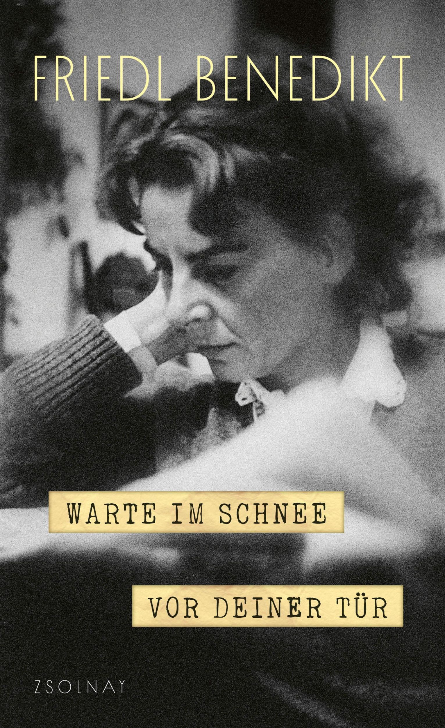 Cover: 9783552075290 | Warte im Schnee vor Deiner Tür | Friedl Benedikt | Buch | 336 S.