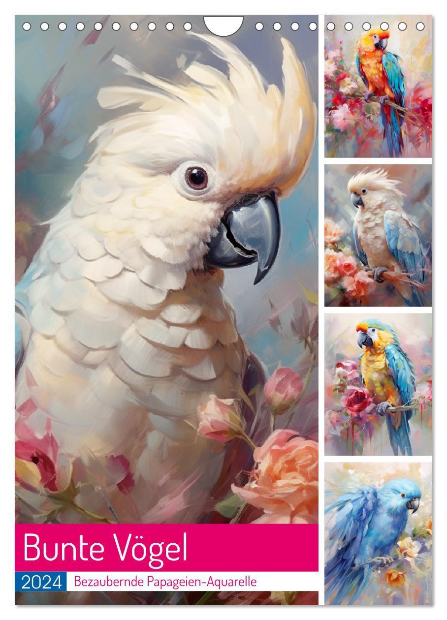 Cover: 9783383645877 | Bunte Vögel. Bezaubernde Papageien-Aquarelle (Wandkalender 2024 DIN...