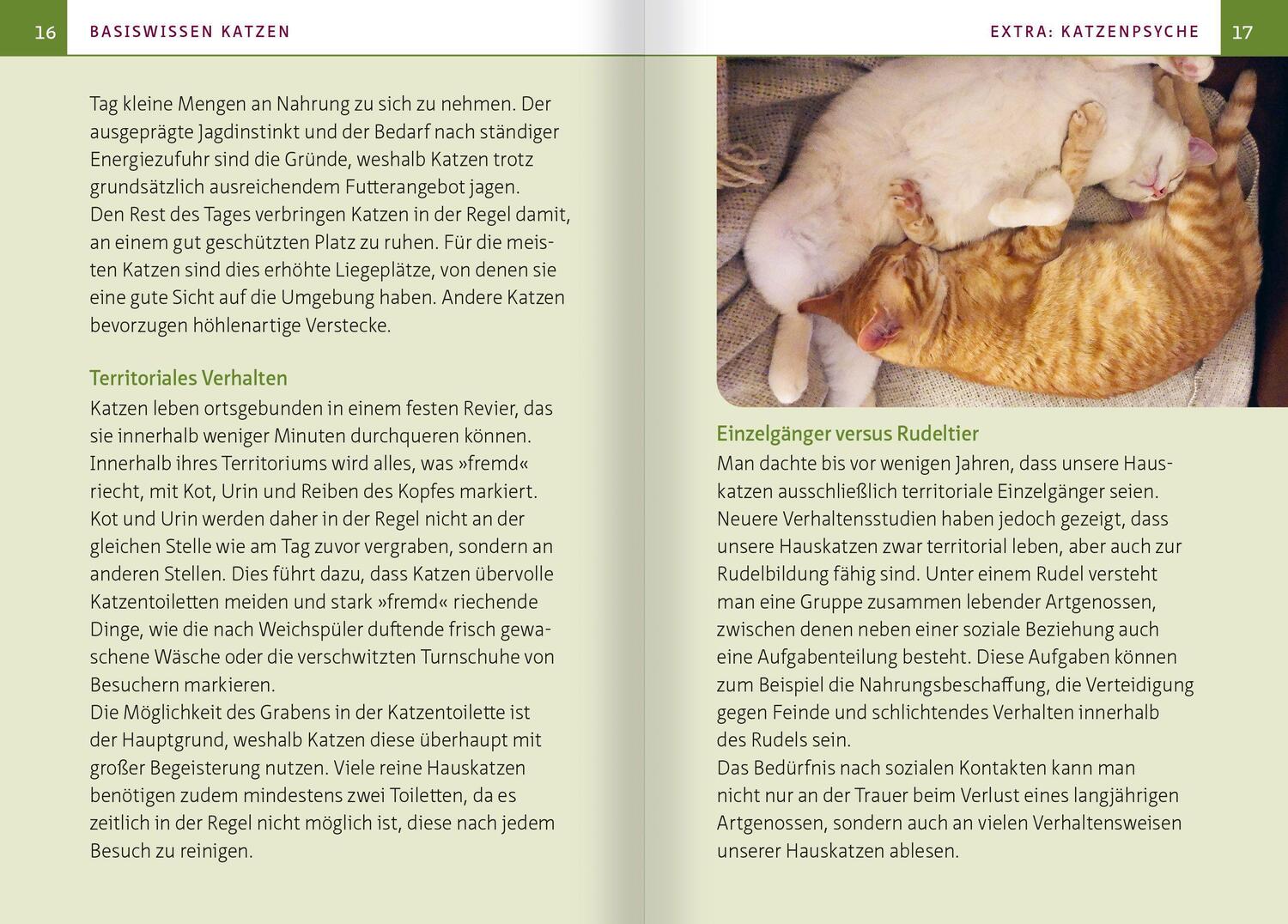 Bild: 9783863746551 | Grüne Hausapotheke für Katzen. Kompakt-Ratgeber | Dorina Lux | Buch