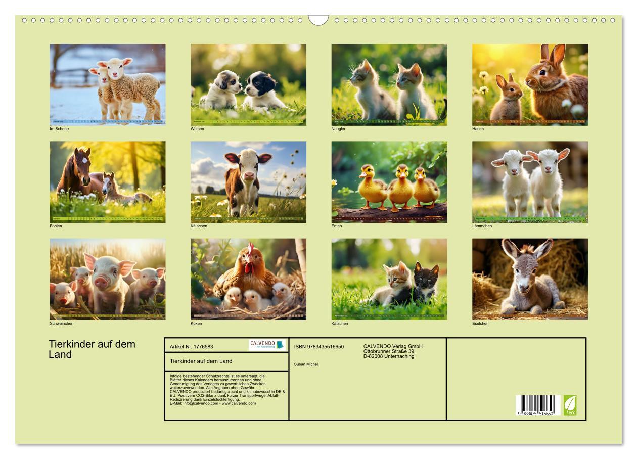 Bild: 9783435516650 | Tierkinder auf dem Land (Wandkalender 2025 DIN A2 quer), CALVENDO...