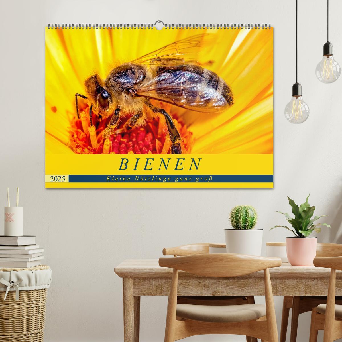 Bild: 9783435241569 | BIENEN - Kleine Nützlinge ganz groß (Wandkalender 2025 DIN A2...