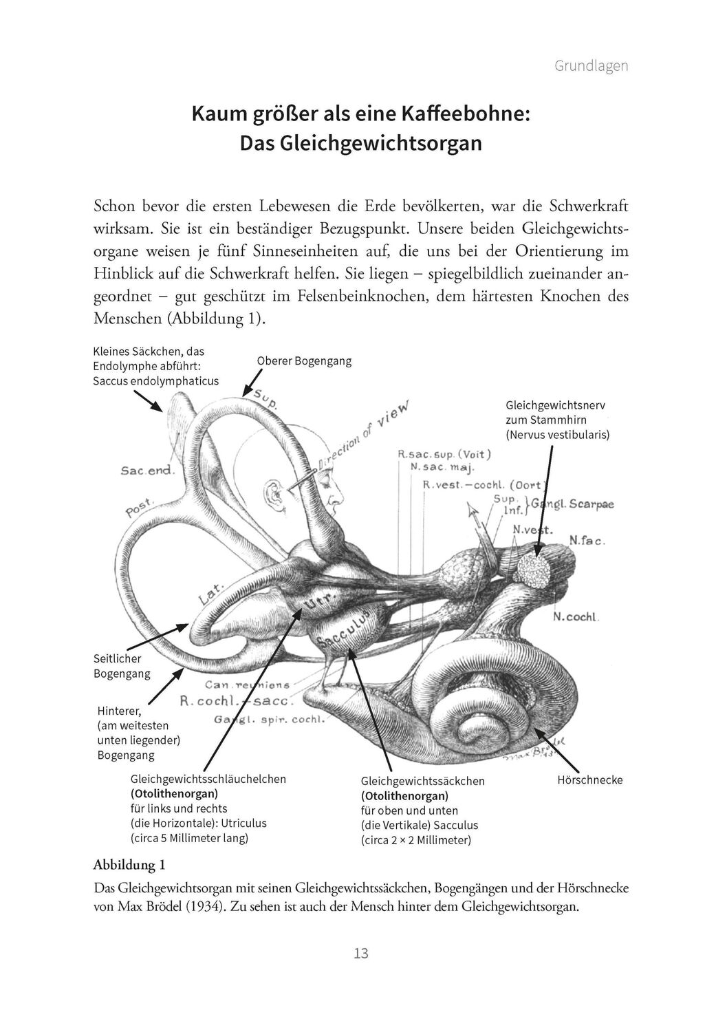 Bild: 9783863215385 | Hilfe bei Schwindel | Helmut Schaaf | Taschenbuch | Erste Hilfen