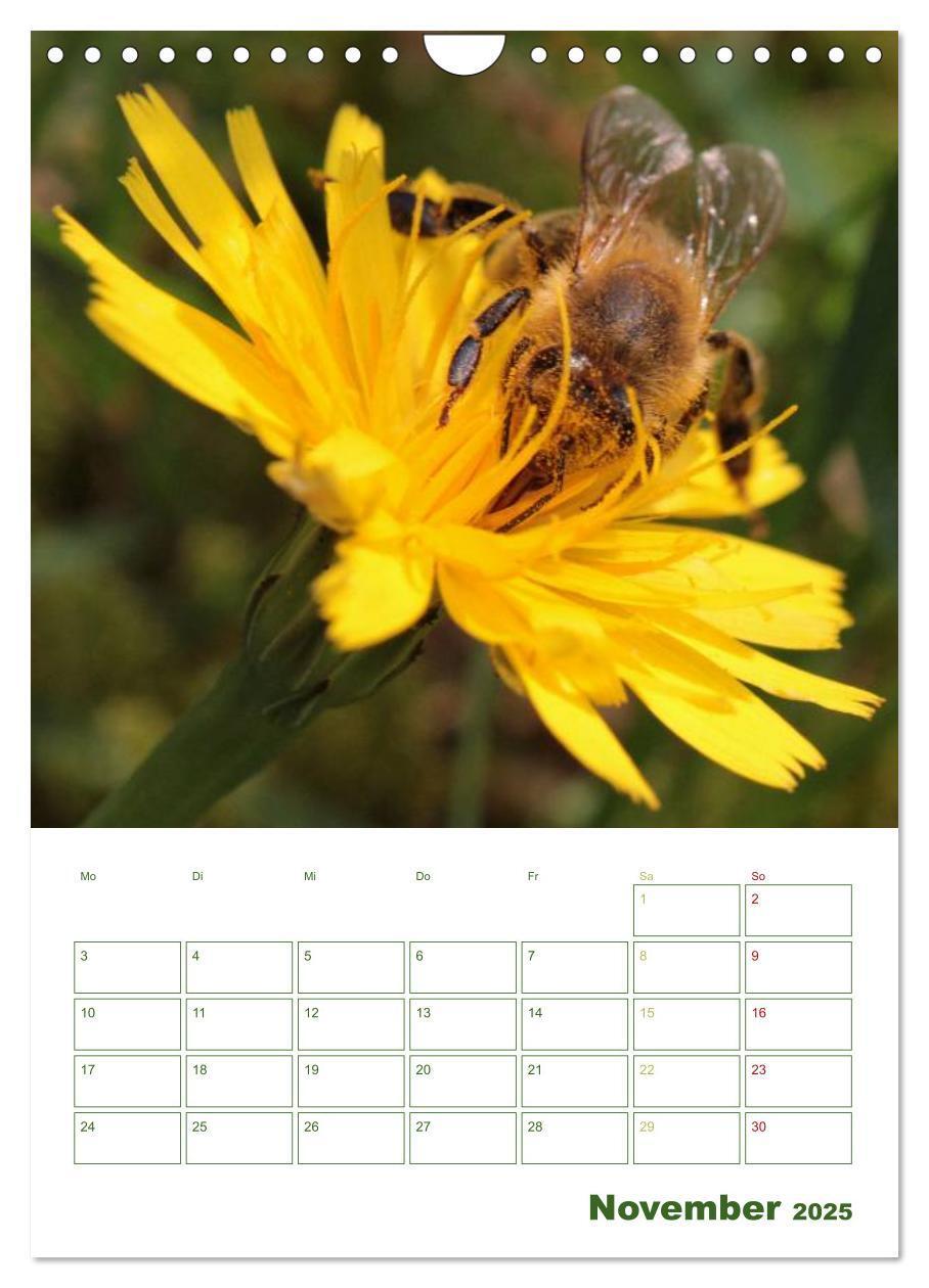 Bild: 9783457030813 | Bienen-Terminplaner 2025 (Wandkalender 2025 DIN A4 hoch), CALVENDO...