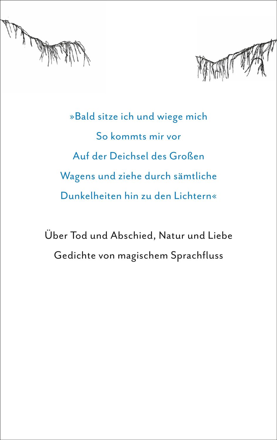 Rückseite: 9783518431405 | Flussgang | Gedichte | Robert Schindel | Buch | 95 S. | Deutsch | 2023