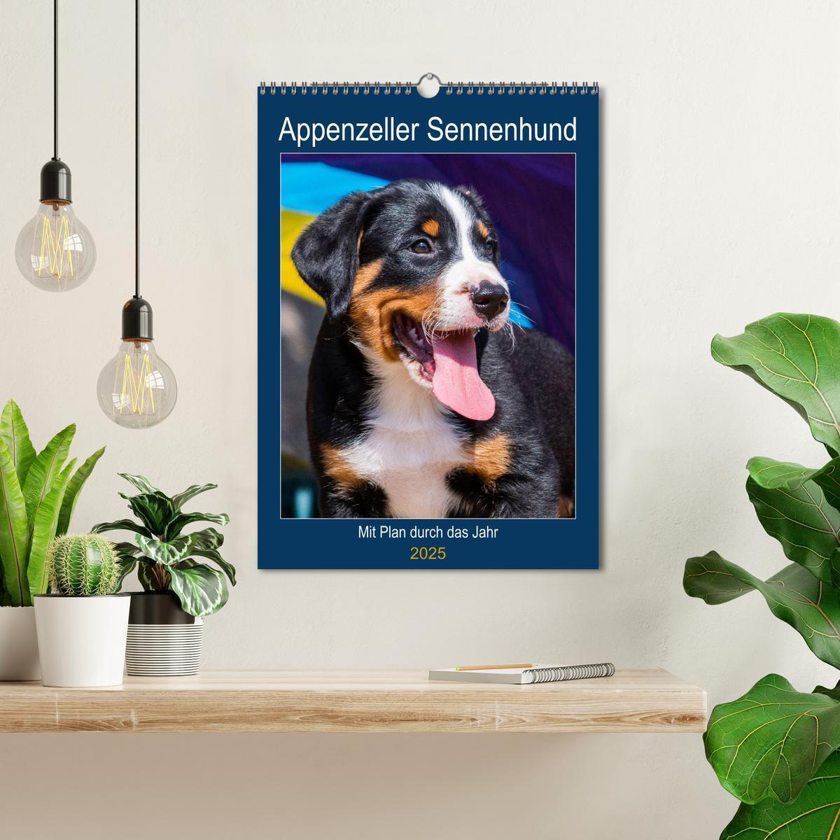 Bild: 9783435936571 | Appenzeller Sennenhund - Mit Plan durch das Jahr (Wandkalender 2025...