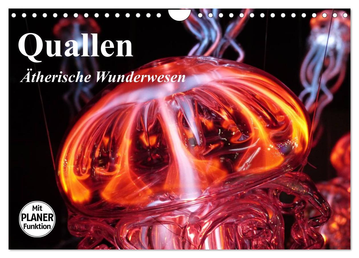 Cover: 9783383315084 | Quallen. Ätherische Wunderwesen (Wandkalender 2024 DIN A4 quer),...