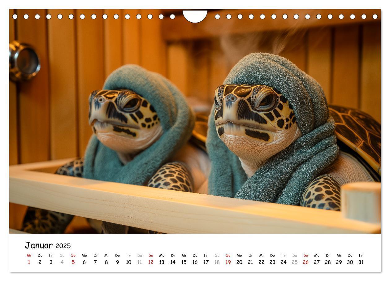 Bild: 9783457215784 | CHILL MAL - Entspannte Schildkröten beim Faulenzen (Wandkalender...