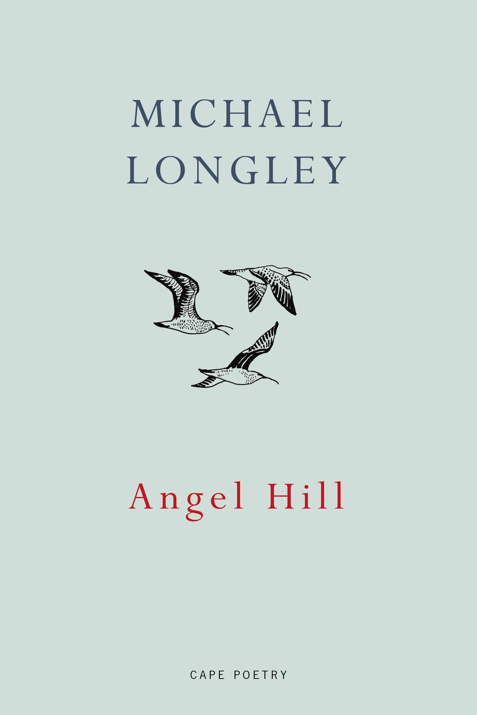 Cover: 9781911214083 | Angel Hill | Michael Longley | Taschenbuch | Kartoniert / Broschiert