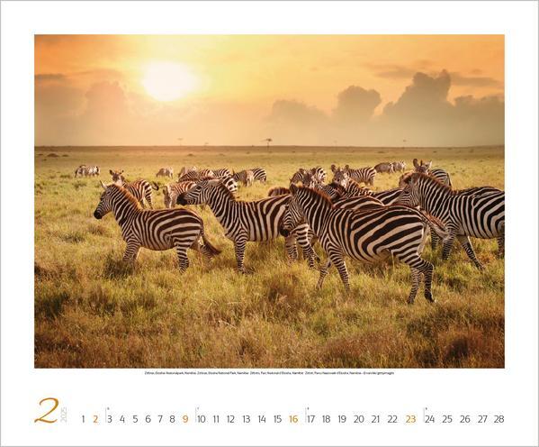 Bild: 9783731879244 | Faszination Afrika 2025 | Verlag Korsch | Kalender | Spiralbindung