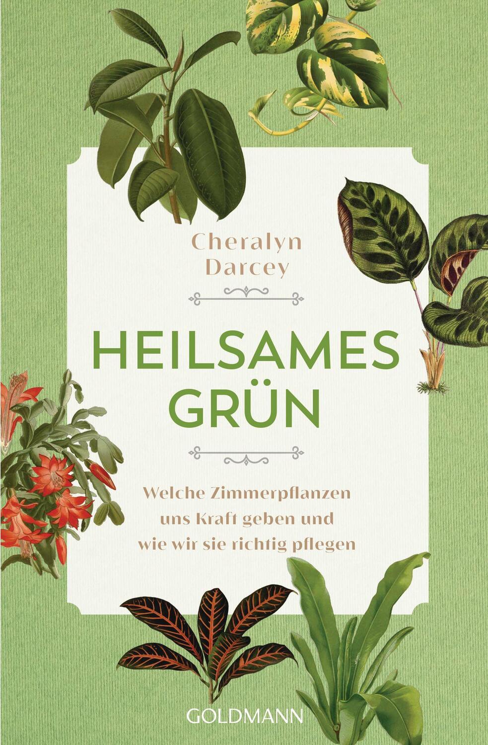 Cover: 9783442223558 | Heilsames Grün | Cheralyn Darcey | Taschenbuch | 192 S. | Deutsch
