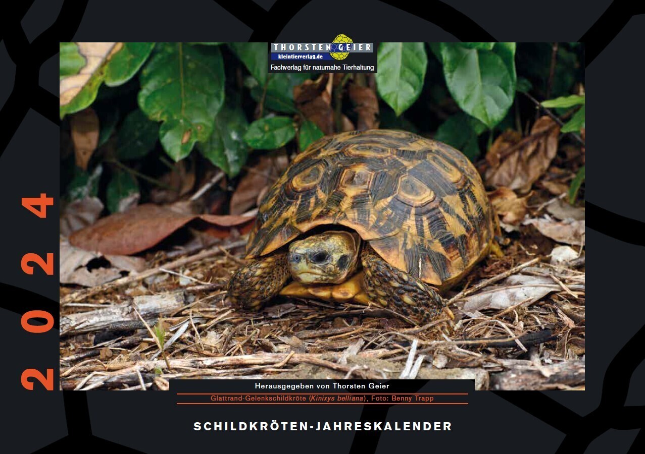 Cover: 9783944484358 | Schildkröten-Jahreskalender 2024 | Herausgegeben von Thorsten Geier