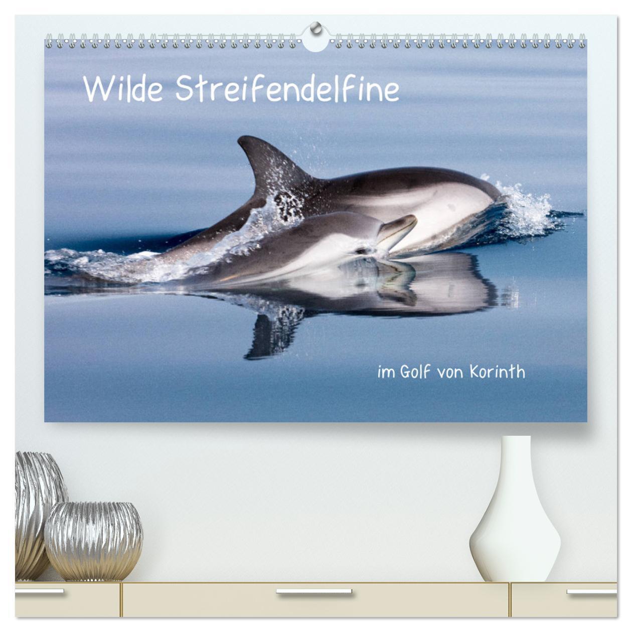 Cover: 9783435101085 | Wilde Streifendelfine im Golf von Korinth (hochwertiger Premium...