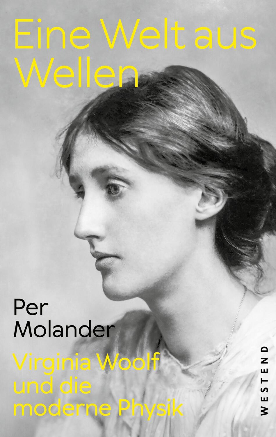 Cover: 9783864894053 | Eine Welt aus Wellen | Virginia Woolf und die moderne Physik | Buch