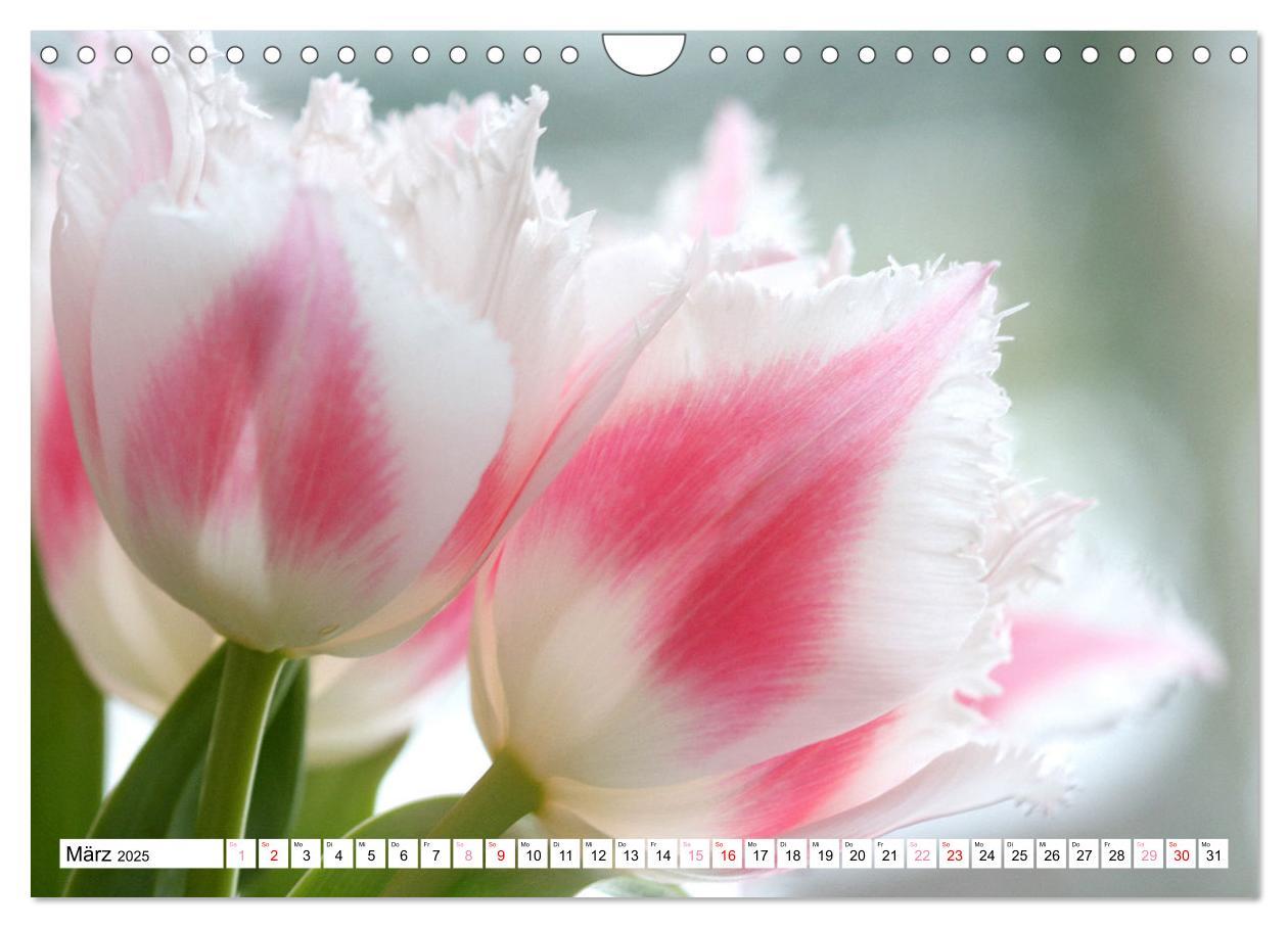 Bild: 9783383826962 | Blumenpracht - Blüten und Sträuße (Wandkalender 2025 DIN A4 quer),...