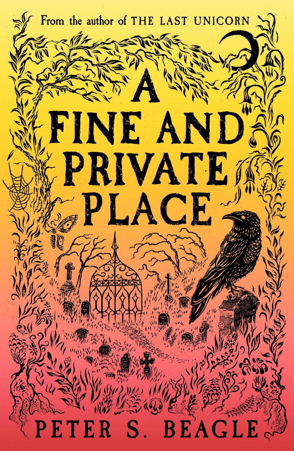Cover: 9781399607063 | A Fine and Private Place | Peter S. Beagle | Taschenbuch | XII | 2023