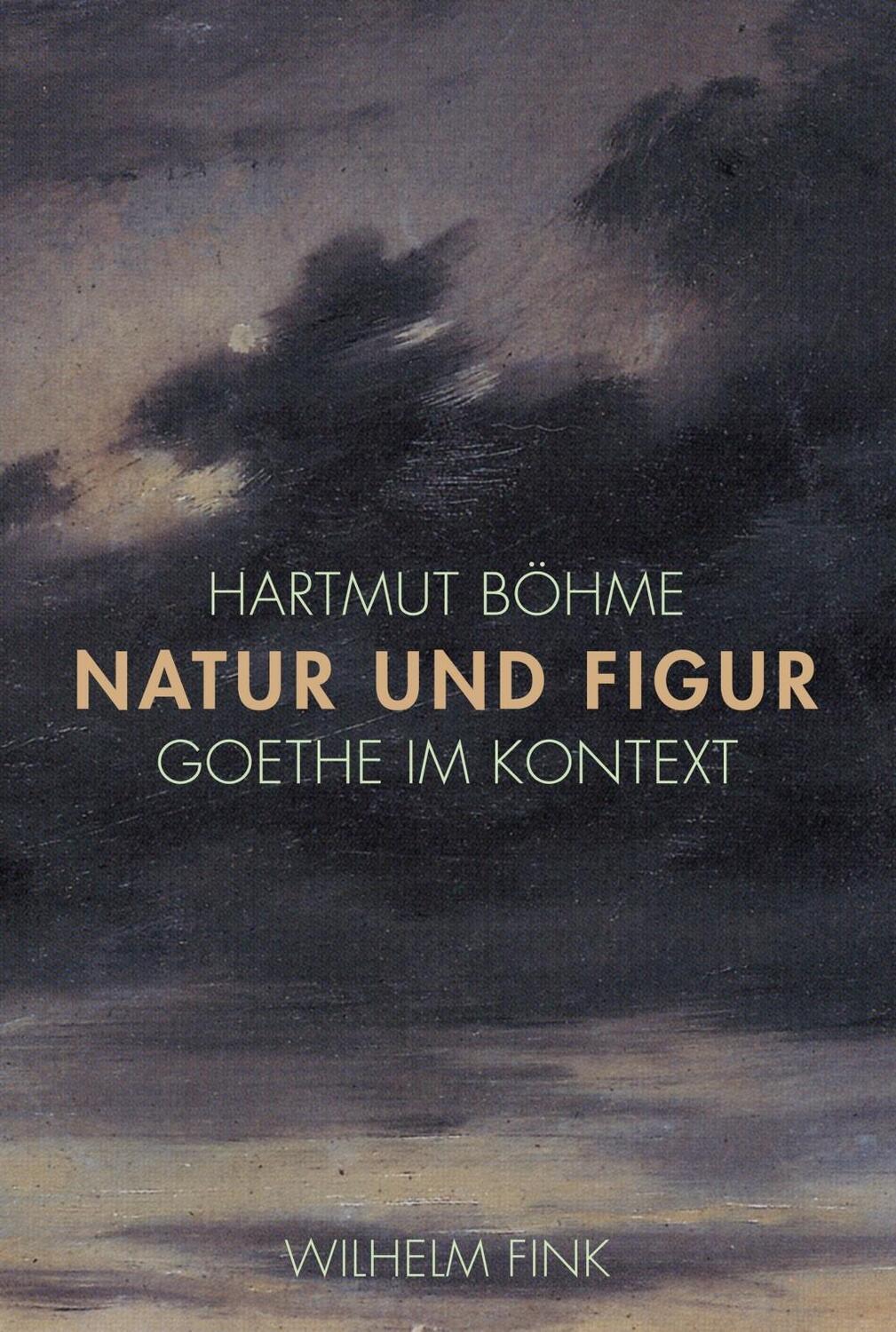 Cover: 9783770560462 | Natur und Figur | Goethe im Kontext | Hartmut Böhme | Taschenbuch