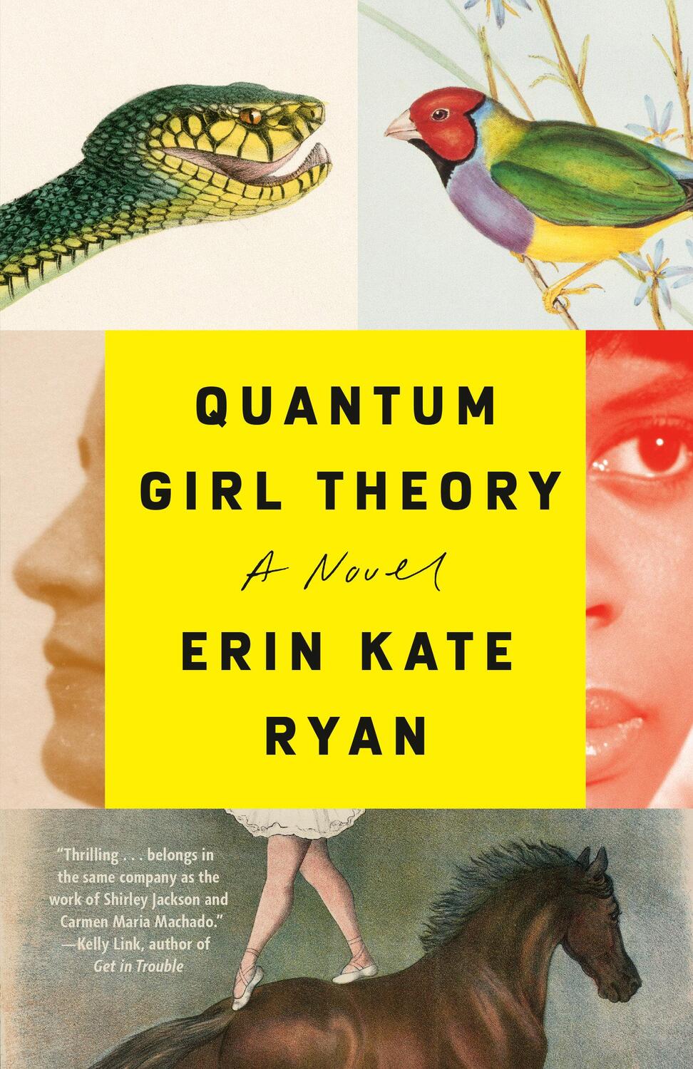 Cover: 9780593133453 | Quantum Girl Theory | A Novel | Erin Kate Ryan | Taschenbuch | 2023