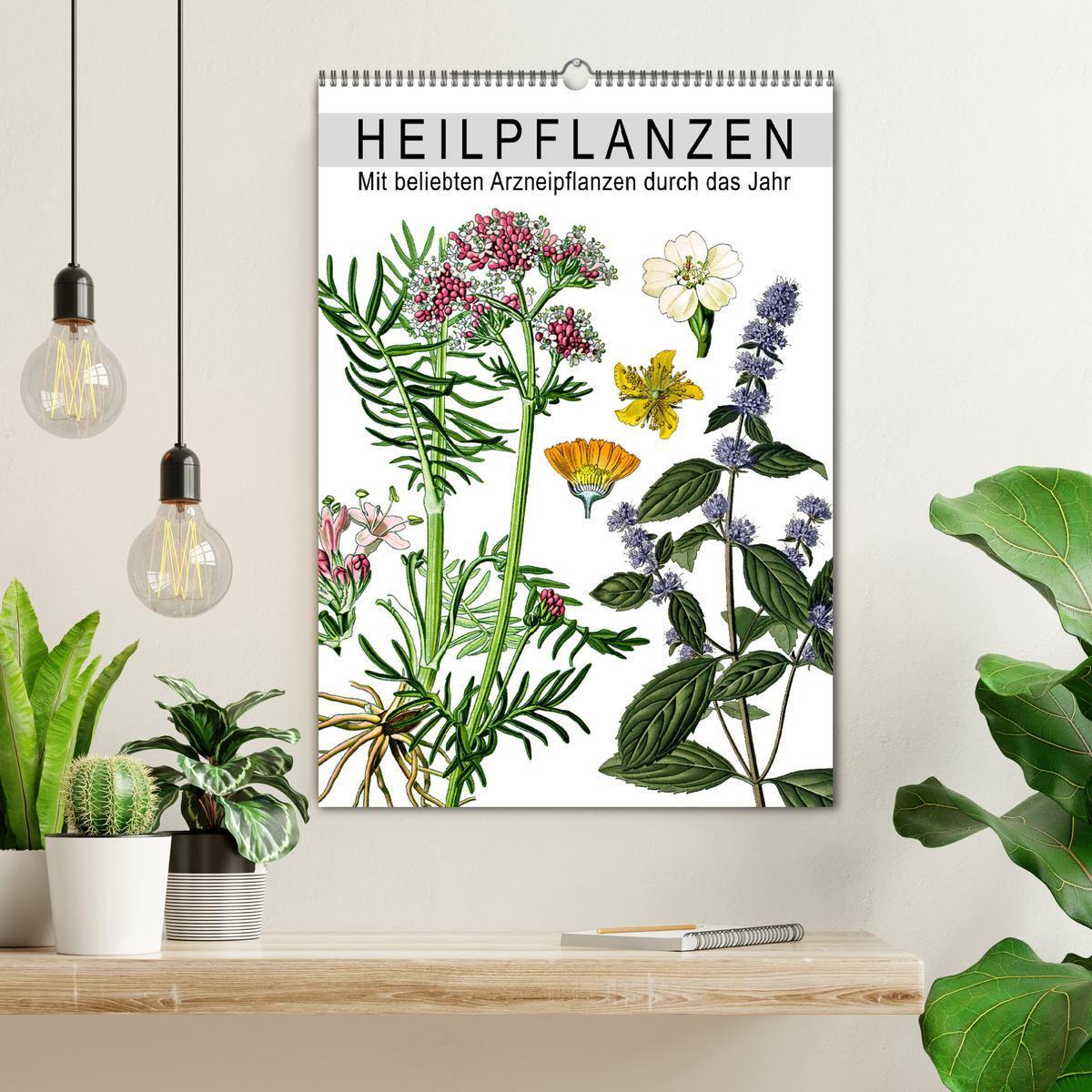 Bild: 9783457058749 | Heilpflanzen (Wandkalender 2025 DIN A2 hoch), CALVENDO Monatskalender