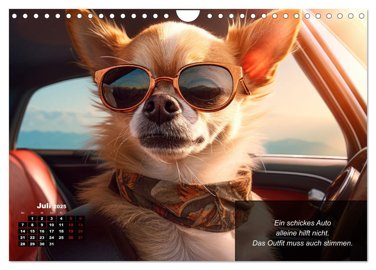 Bild: 9783457129388 | Lustige Chihuahua-Momente (Wandkalender 2025 DIN A4 quer), CALVENDO...