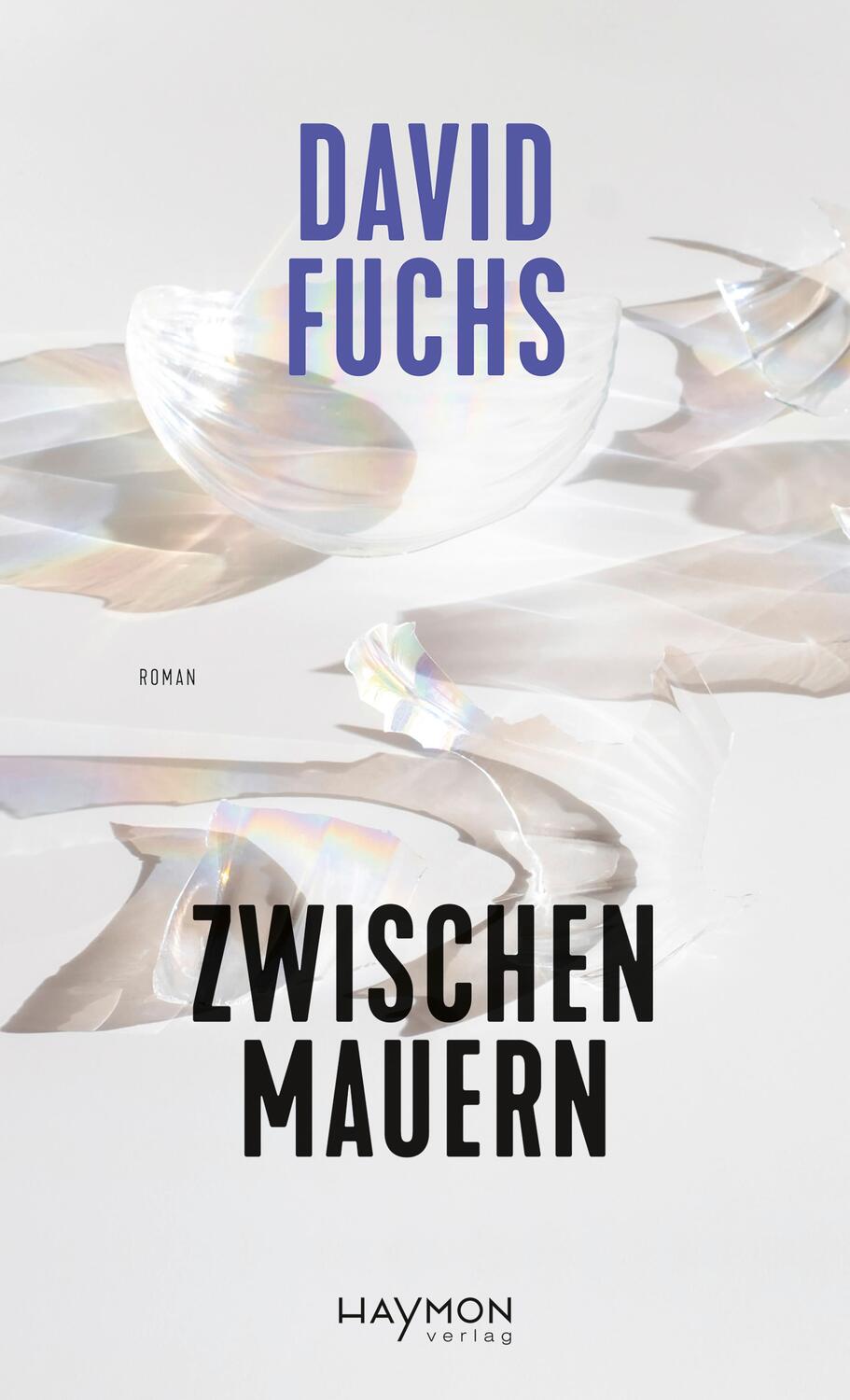 Cover: 9783709982037 | Zwischen Mauern | Roman | David Fuchs | Buch | 224 S. | Deutsch | 2023