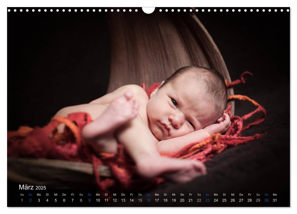 Bild: 9783435645268 | Baby - süße Träume (Wandkalender 2025 DIN A3 quer), CALVENDO...