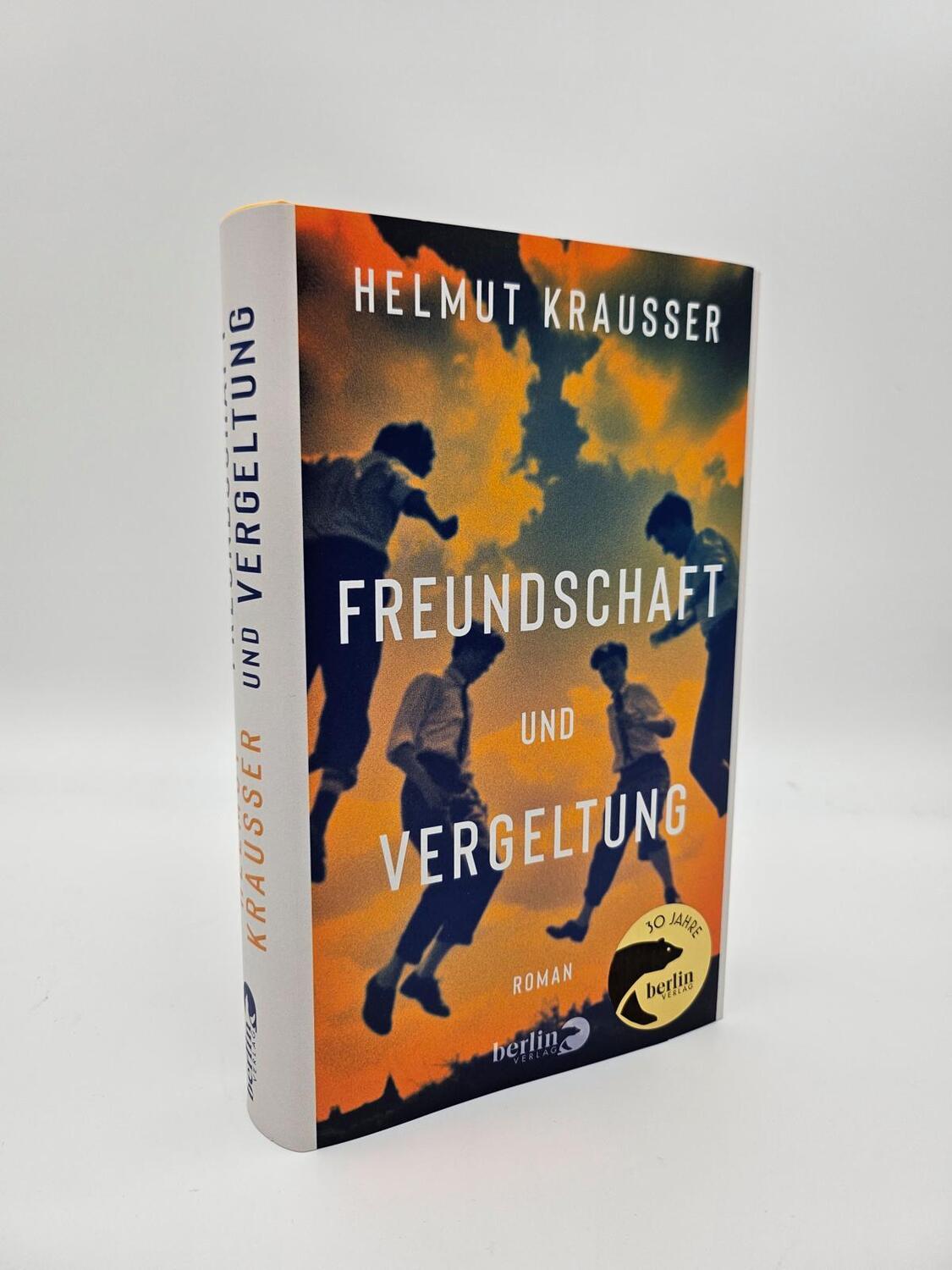 Bild: 9783827014160 | Freundschaft und Vergeltung | Roman | Helmut Krausser | Buch | 352 S.