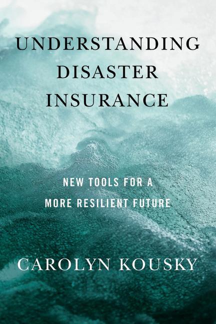 Cover: 9781642832259 | Understanding Disaster Insurance: New Tools for a More Resilient...