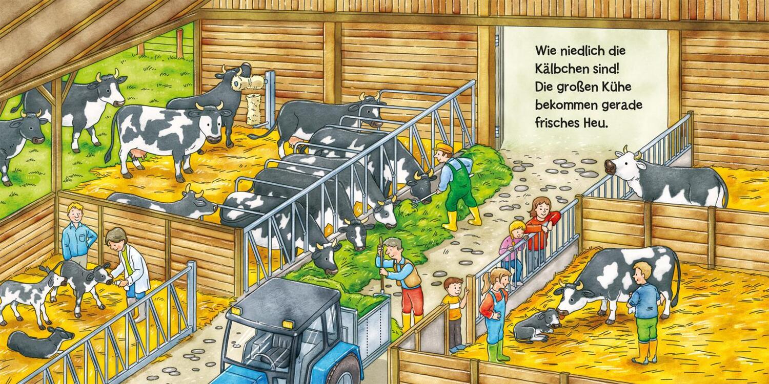 Bild: 9783551171214 | Buggy-Bücher: Mein Buggy-Wimmelbuch: Bauernhof | Julia Hofmann | Buch