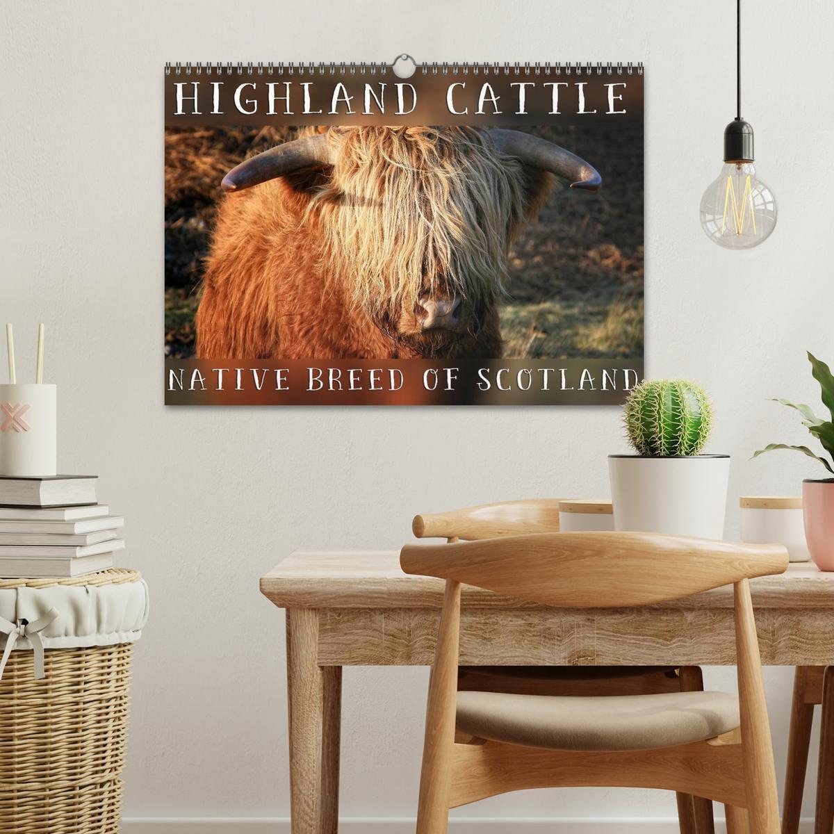 Bild: 9781325994229 | Highland Cattle - Native Breed of Scotland (Wall Calendar 2025 DIN...